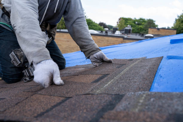 Roof Insulation in Capron, IL